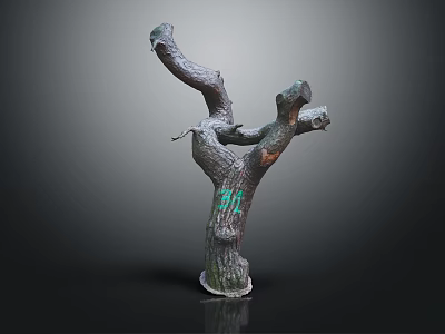 Wooden Tree Stump Sculpture with Natural Branches and Textured Surface for Decorative Interior 3d model