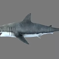 Realistic Great White Shark with Open Mouth and Sharp Teeth in Marine Habitat