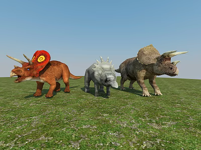 Three Colorful Triceratops Standing On Green Grass With Blue Sky 3d model