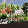 Colorful Flowers And Plants In Lush Garden With Vibrant Blooms And Natural Greenery