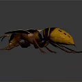 Detailed Yellow and Brown Wasp with Transparent Yellow Wings on Gray Background