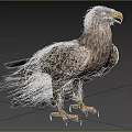 Eagle Standing On Grassland With Brown Feathers And Sharp Yellow Talons 3d model