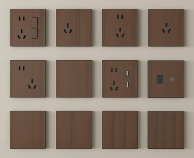 Brown Wooden Switch Panels With Various Designs And Sockets For Home Use 3d model