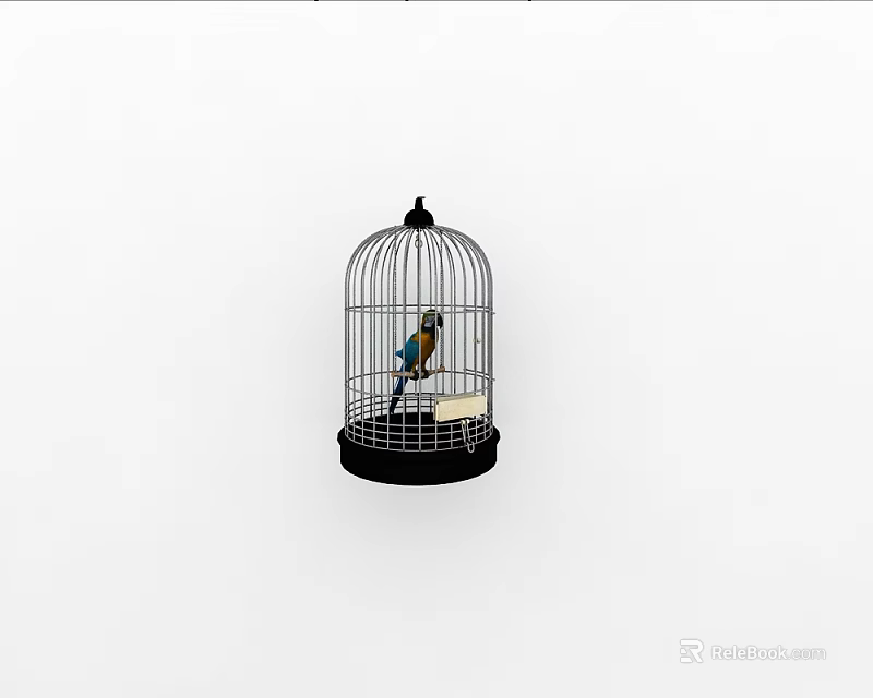 Colorful Flying Bird Perching Inside Black Metal Birdcage With Wooden Perch And Food Tray 3d model 