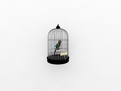 Birdcage model