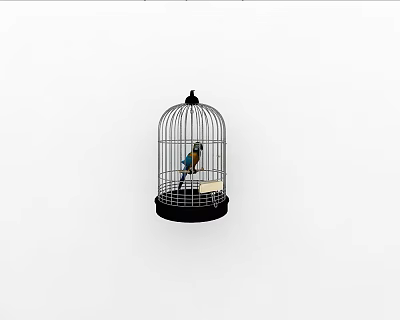 Colorful Flying Bird Perching Inside Black Metal Birdcage With Wooden Perch And Food Tray 3d model
