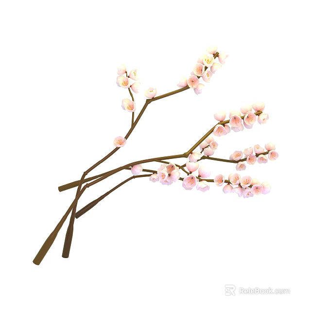 Plum Blossom Branches With Pink Flowers And Brown Stems 3d model 