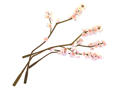 Plum Blossom Branches With Pink Flowers And Brown Stems 3d model