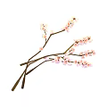Plum Blossom Branches With Pink Flowers And Brown Stems