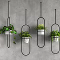 Hanging Potted Plants With Black Metal Oval Frames On Gray Wall Decor 3d model