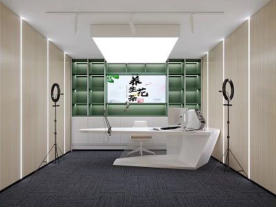 Modern Public Office Space With Green Bookshelves White Desk And Ring Lights 3d model