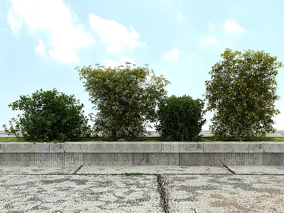 Green Leafy Shrubs Growing Along Concrete Wall Under Blue Sky With Clouds 3d model