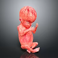 Red Fetus Model Curled Up with Hands Near Face on Black Background