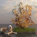 Shrub Tree Shrub Plant Golden Yellow Autumn Plant Green Plant Park Landscape City Greening Flowers Animal Dog Golden Hair Sky 3d model