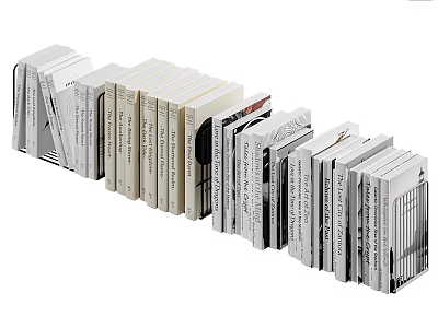 Neatly Stacked Books and Magazines With Different Covers And Color Variations 3d model