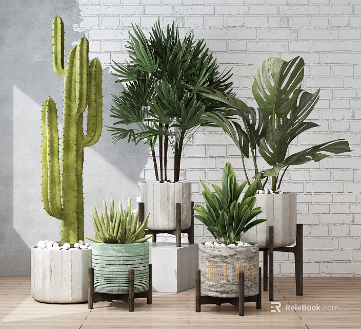 Potted Cactus Palm And Monstera Plants In Decorative Pots Against White Brick Wall 3d model 