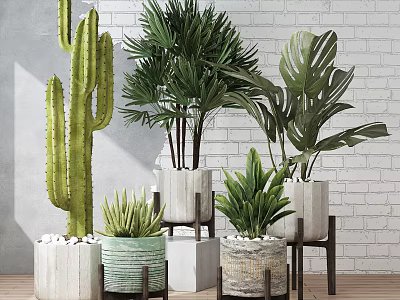 Potted Cactus Palm And Monstera Plants In Decorative Pots Against White Brick Wall 3d model