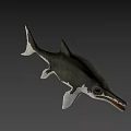Realistic 3D Model of Aquatic Reptile With Long Snout Flippers and Gray White Coloration
