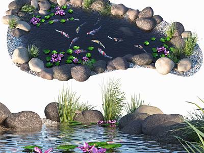 Serene Garden Water Feature With Colorful Koi Fish Purple Water Lilies And Smooth Rocks 3d model
