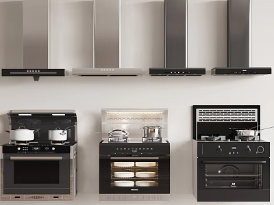 Modern Kitchen Appliances Featuring Stainless Steel Range Hoods and Built in Stoves With Ovens 3d model