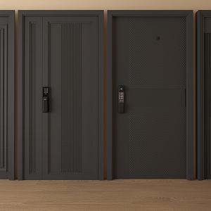 Door Security Door Entry Door 3d model