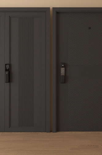 Door Security Door Entry Door 3d model