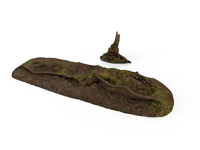 Natural Plant Roots with Mossy Soil and Small Stump on White Background 3d model