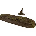 Natural Plant Roots with Mossy Soil and Small Stump on White Background