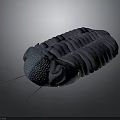 Detailed Prehistoric Trilobite 3D Model With Textured Exoskeleton And Antennae