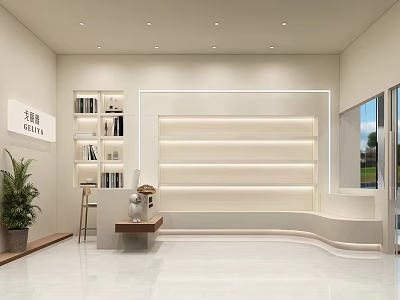 Minimalist Specialty Store Interior With White Display Walls Bookshelves And Indoor Plant 3d model