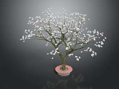 Beautiful Tree With White Flowers Brown Trunk On Red Base Against Dark Background 3d model