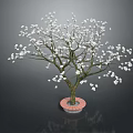 Beautiful Tree With White Flowers Brown Trunk On Red Base Against Dark Background 3d model