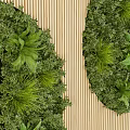 Vertical Living Plant Wall Design With Green Foliage And Wooden Stripe Background