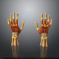 Detailed Human Hand Organ Skeletal Structure And Muscle Anatomy 3D Model