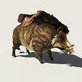 Brown Fur Wild Boar With Leather Saddle And Bridle For Riding