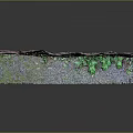 Natural Rock Surface With Lush Green Plants And Moss Growing On It