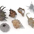 Assorted Decorative Ornament Set With Seashells And Sea Urchin Shells For Marine Home Decor