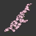 Beautiful Pink Flowers On Curved Branch With Dark Background And Reflection