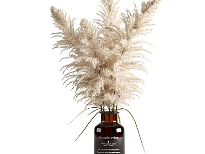 Elegant Brown Glass Vase With Dried Beige Pampas Grass And Label 3d model