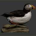 Realistic Puffin Sculpture With Detailed Black White Feathers Colorful Beak Standing On Stone Base