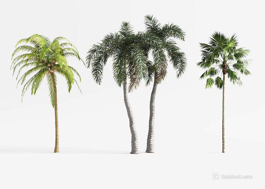 Tree Planter Design With Various Palm Trees For Outdoor Landscape Settings 3d model 
