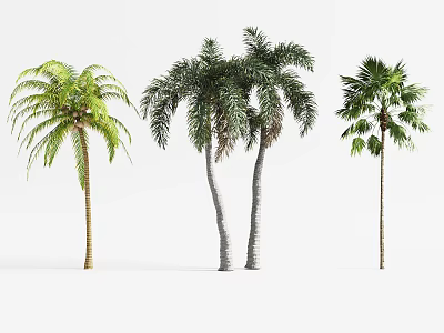 Tree Planter Design With Various Palm Trees For Outdoor Landscape Settings 3d model