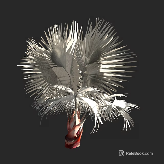 3D Rendered Arbor Palm Tree With Fan Shaped Leaves And Red Trunk Structure 3d model 