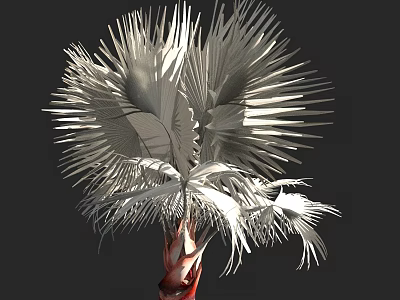 3D Rendered Arbor Palm Tree With Fan Shaped Leaves And Red Trunk Structure 3d model