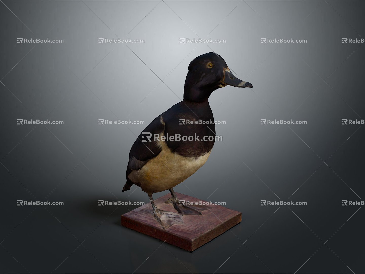 Duck Wild Duck Domestic Animal Training Domestic Animal Farming and Animal Husbandry Mammal Animal 3d model