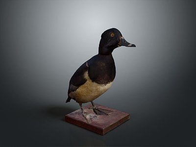 Duck Wild Duck Domestic Animal Training Domestic Animal Farming and Animal Husbandry Mammal Animal 3d model