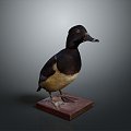 Duck Wild Duck Domestic Animal Training Domestic Animal Farming and Animal Husbandry Mammal Animal 3d model