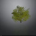 Realistic 3D Tree Model With Lush Green Foliage And Brown Trunk