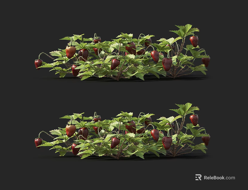Fresh Red Berries With Lush Green Leaves On Growing Vine Plant 3d model 