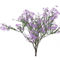 Lush Arbor With Purple Flowers Green Leaves And Branches In Bloom